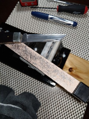 IMAG0595.jpg