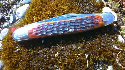 WP_20190606_058.jpg