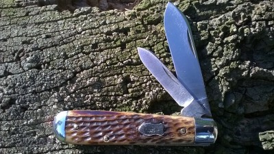 WP_20190420_026.jpg