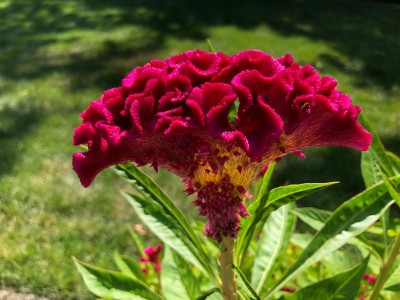 2021-07-23 15.49.38.jpg