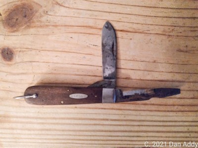 Case 12031L.jpg