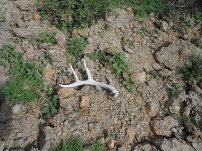 DSCF4434.JPG