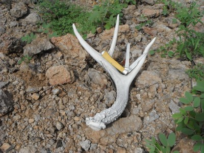 DSCF4435.JPG