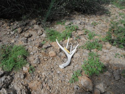 DSCF4436.JPG