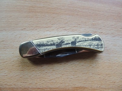 DSCN7270.JPG