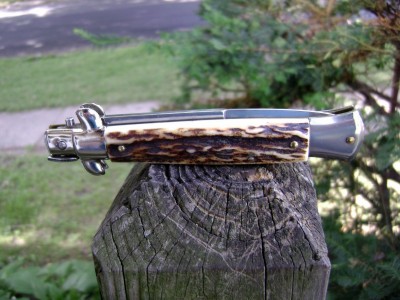 Italian Stag Auto 1.JPG
