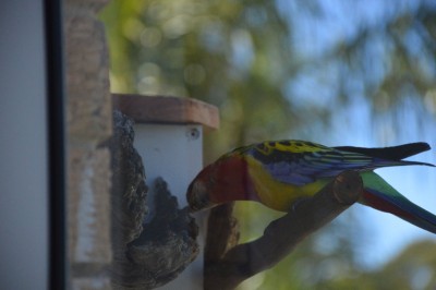 DSC_0006.JPG