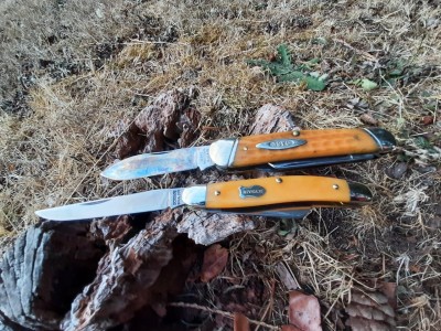 thumbnail_20210903_192122.jpg