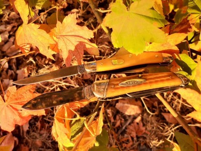 thumbnail_20210903_191803.jpg