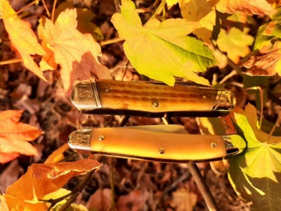 thumbnail_20210903_191834.jpg