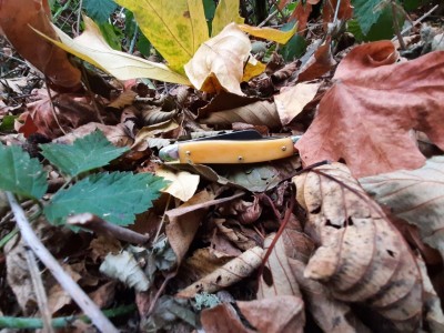 thumbnail_20210904_183736.jpg