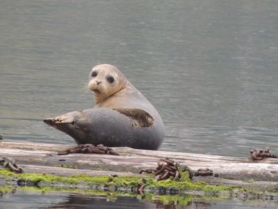 DSCN7194.JPG
