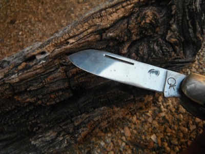 DSCF5170.JPG