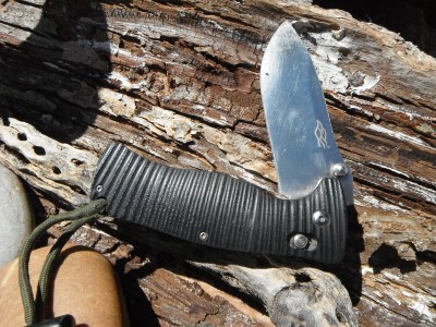 DSCF5382.JPG