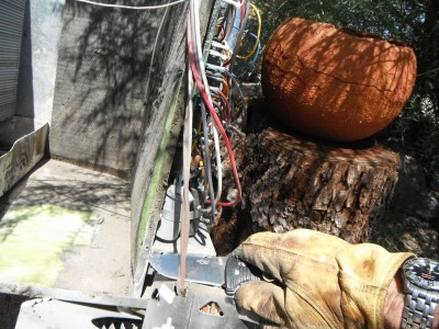 DSCF5383.JPG