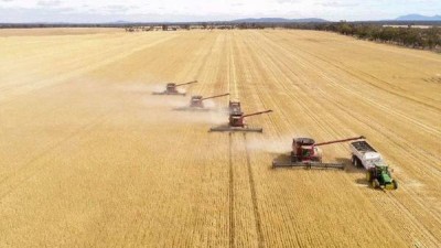 large acerage harvesting.jpg