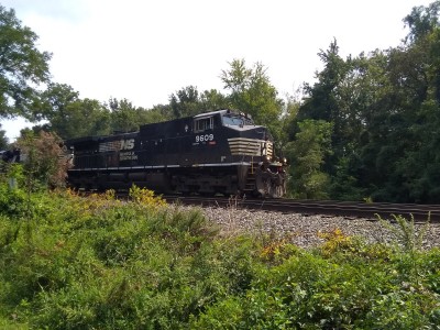 IMG_20210914_132458416.jpg