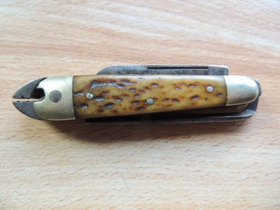 DSCN7281.JPG