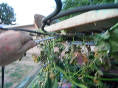 DSCF7095.JPG