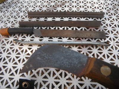 DSCF7154.JPG