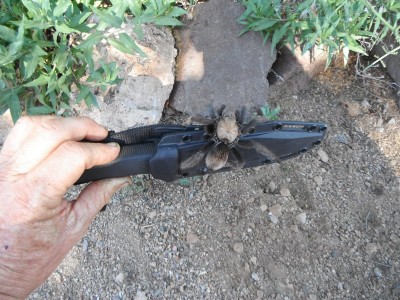 DSCF7318.JPG