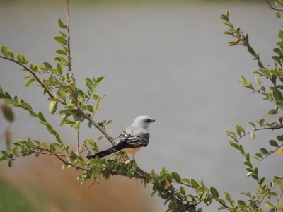 DSCN7309.JPG