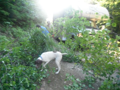 DSCF2904.JPG
