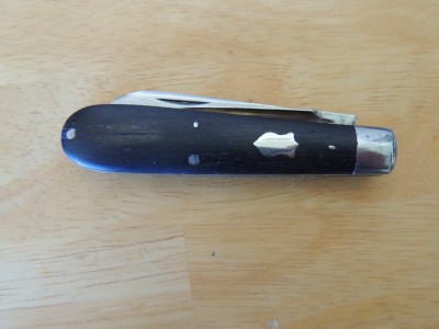 DSCN7313.JPG