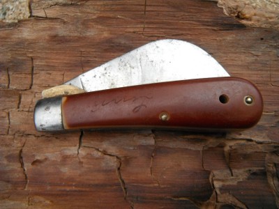 DSCF7138.JPG