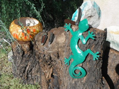 DSCF7479.JPG