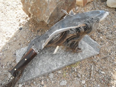 DSCF7470.JPG
