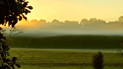 20210926_070239.jpg
