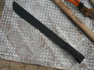 DSCF7502.JPG