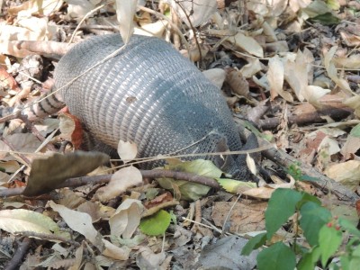 DSCN7321.JPG