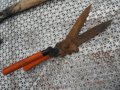 DSCF7501.JPG