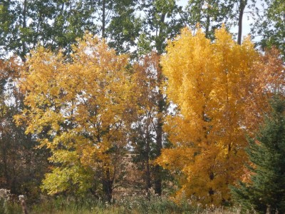 DSCN5339.JPG