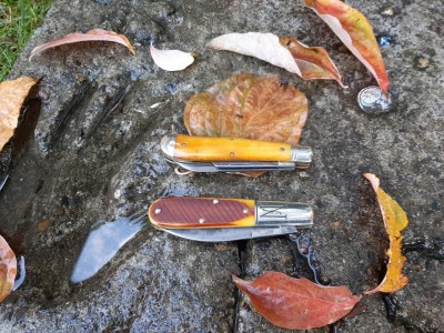 Northfield 92 Eureka Autumn gold - Northfield 77 Barlow old Tan Saw Cut
