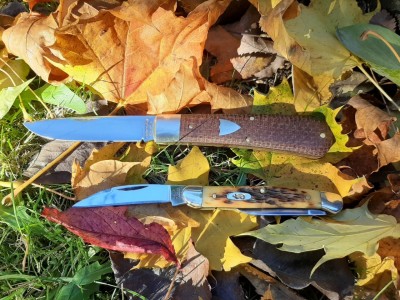 thumbnail_20201108_121048.jpg