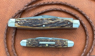 EDC549.jpg