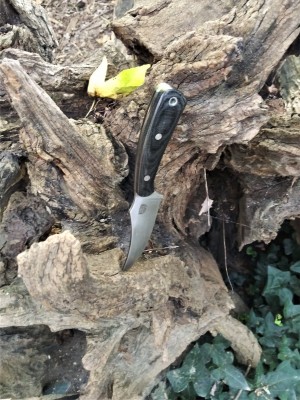 Bark River Fingerling on the trail.jpg