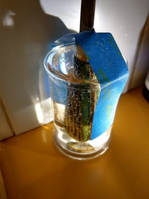IMAG0645.jpg