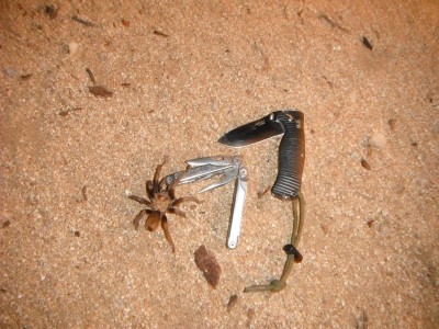 DSCF7616.JPG