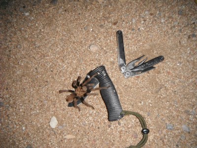 DSCF7618.JPG