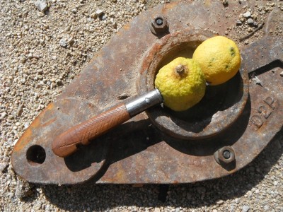 DSCF7624.JPG