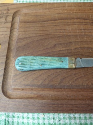 IMAG0655.jpg