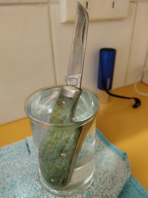 IMAG0656.jpg