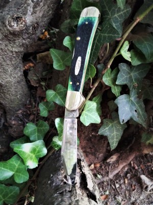 CL Ivy.jpg