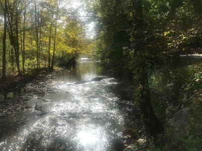 Jordan Creek on SGL 205 100221.jpg