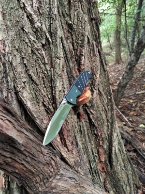 CRKT morning walk.jpg