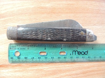 DSCN7331.JPG